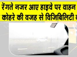 Rajasthan Weather: हाइवे पर गाड़ियां रेंगती नजर आईं, थमी वाहनों की रफ्तार Rajasthan Weather News