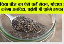 Weight Loss: चिया बीज का ऐसे करें सेवन, मोटापा जल्द कहेगा अलविदा, पड़ोसी भी पूछेगे इसका राज Weight Loss