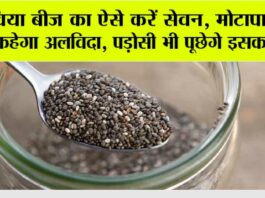 Weight Loss: चिया बीज का ऐसे करें सेवन, मोटापा जल्द कहेगा अलविदा, पड़ोसी भी पूछेगे इसका राज Weight Loss