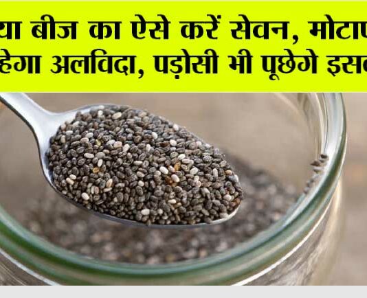 Weight Loss: चिया बीज का ऐसे करें सेवन, मोटापा जल्द कहेगा अलविदा, पड़ोसी भी पूछेगे इसका राज Weight Loss