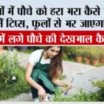 Winter Gardening Tips