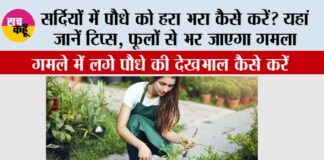 Winter Gardening Tips