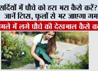 Winter Gardening Tips