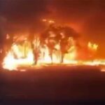 जंगल में भीषण आग का तांडव, लोगों को शहर छोड़ने के आदेश, सड़कें भी बंद Australia News