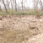 मानकपुर में पंचायती जंगल से शीशम के अवैध कटान के बाद अवैध खनन, एसडीएम ने सूचना के बाद दिए कार्रवाई के आदेश Chhachhrauli News