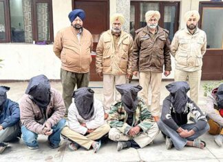 लूट की योजना बनाते दो गिरोह के 11 आरोपी गिरफ्तार Faridkot News