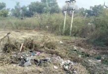 कलक्टरेट-एसपी कार्यालय के पीछे जंगल में तब्दील सरकारी भूमि Hanumangarh News