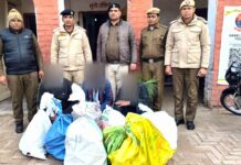 Chinese Manja: हांसी में चाइनीज मांझा बेचने वालों पर पुलिस ने कसा शिकंजा, तीन आरोपी गिरफ्तार Hansi News