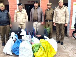 Chinese Manja: हांसी में चाइनीज मांझा बेचने वालों पर पुलिस ने कसा शिकंजा, तीन आरोपी गिरफ्तार Hansi News