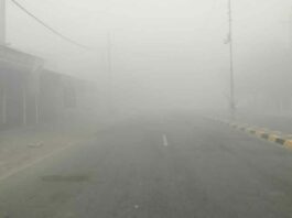 Rajasthan Weather: राजस्थान में बारिश व शीतलहर के साथ कड़ाके की ठंड ने किया नववर्ष का स्वागत Rajasthan Weather News