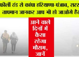 Haryana Punjab Weather: बफीर्ली ठंड से कांपा हरियाणा-पंजाब, सरसा का तापमान जानकर आप भी हो जाओगे हैरान Haryana Punjab Weather