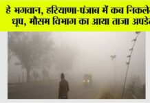 Haryana Punjab Weather