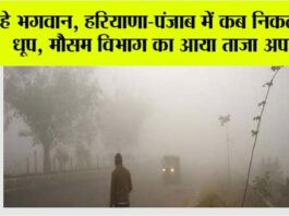 Haryana Punjab Weather
