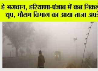 Haryana Punjab Weather