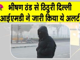 Delhi Cold Wave News