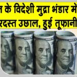 India Forex Reserves