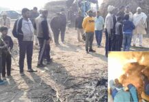 Fire: कोल्हू की खोई व पत्ती में संदिग्ध परिस्थितियों में लगी आग, हड़कंप Kairana News