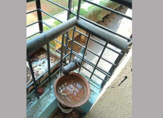 महाराष्ट्र के श्रद्धालु ने बचाई बेजुबान की जान Mumbai News