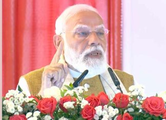 PM Svanidhi Credit Card