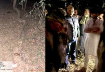 खैर की लकड़ी चोरी रोकने पहुंचे रखवाले पर जानलेवा हमला, कई धाराओं में मुकदमा दर्ज Pratap Nagar News