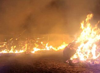 Fire: बनियावाला में अज्ञात कारणों से लगी भूसे की छान में आग 6 छान आई चपेट में आग लगाने वाले संदिग्ध की पुलिस को दी शिकायत Pratap Nagar News