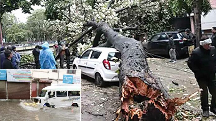 Punjab News Punjab News