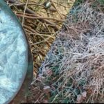 Rajasthan Weather News