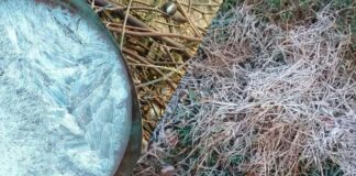 Rajasthan Weather News