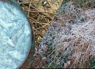 Rajasthan Weather News