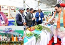 मुख्यमंत्री भजनलाल शर्मा ने पूर्व मुख्यमंत्री अशोक गहलोत को दिया करारा जवाब Sirohi News