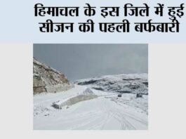 Snowfall: हिमाचल के इस जिले में हुई सीजन की पहली बर्फबारी, मनमोहक दृश्य Snowfall