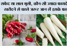 White And Red Mooli Ke Fayde