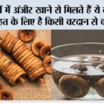 Winter Anjeer Benefits: सर्दियों में अंजीर खाने से मिलते हैं ये बड़े फायदे, सेहत के लिए है किसी वरदान से कम नहीं Winter Anjeer Benefits: