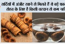 Winter Anjeer Benefits: सर्दियों में अंजीर खाने से मिलते हैं ये बड़े फायदे, सेहत के लिए है किसी वरदान से कम नहीं Winter Anjeer Benefits: