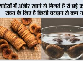 Winter Anjeer Benefits: