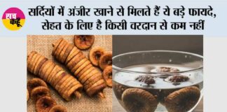 Winter Anjeer Benefits:
