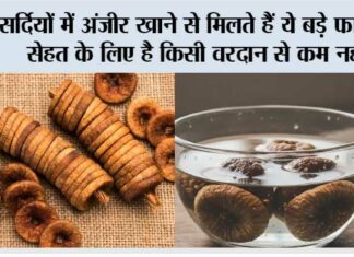 Winter Anjeer Benefits: