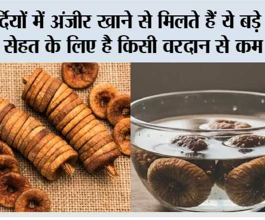 Winter Anjeer Benefits: सर्दियों में अंजीर खाने से मिलते हैं ये बड़े फायदे, सेहत के लिए है किसी वरदान से कम नहीं Winter Anjeer Benefits: