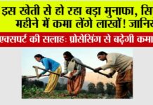Business Idea: इस खेती से हो रहा बड़ा मुनाफा, सिर्फ 2 महीने में कमा लेंगे लाखोें! जानिये Business Idea