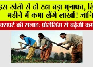 Business Idea: इस खेती से हो रहा बड़ा मुनाफा, सिर्फ 2 महीने में कमा लेंगे लाखोें! जानिये Business Idea