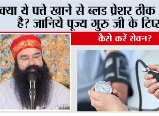 Control High Blood Pressure: क्या ये पत्ते खाने से ब्लड प्रेशर ठीक रहता है? जानिये पूज्य गुरु जी के टिप्स Control High Blood Pressure