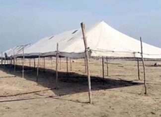 Rajasthan Horse Fair 2026: अश्व मेला कल से, देशभर से आएंगे अश्व पालक व व्यापारी Hanumangarh News