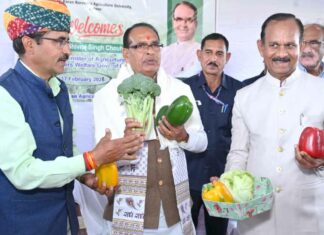 गांव-गांव तक हो शोध कार्यों का विस्तार: केंद्रीय कृषि मंत्री चौहान Jaipur News