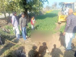 गांव रोडीकपुरा के डेरा श्रद्धालुओं ने बचाई दो बेजुबानों की जिंदगी Jaitu News