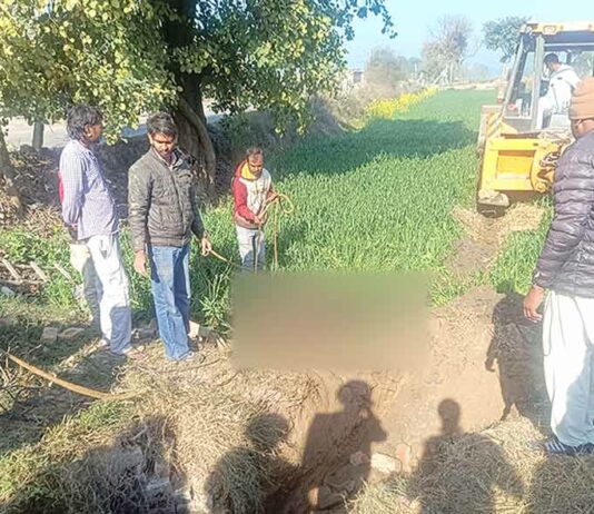 गांव रोडीकपुरा के डेरा श्रद्धालुओं ने बचाई दो बेजुबानों की जिंदगी Jaitu News