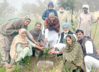 देसूजोधा-चोरमार ब्लॉक के बलदेव कौर इन्सां की याद में परिजनों ने किया अस्थियों से परोपकार Sirsa News