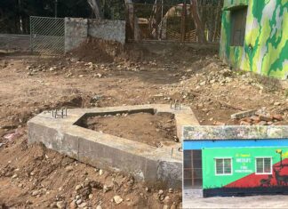 कलेसर नेशनल पार्क की सुरक्षा अब एआई से जंगल में होने वाली हर गतिविधि की मिलेगी सटीक जानकारी Pratap Nagar News