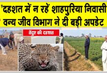 Sirsa Leopard News