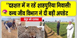 Sirsa Leopard News