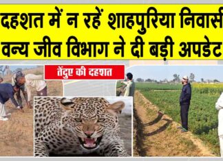 Sirsa Leopard News